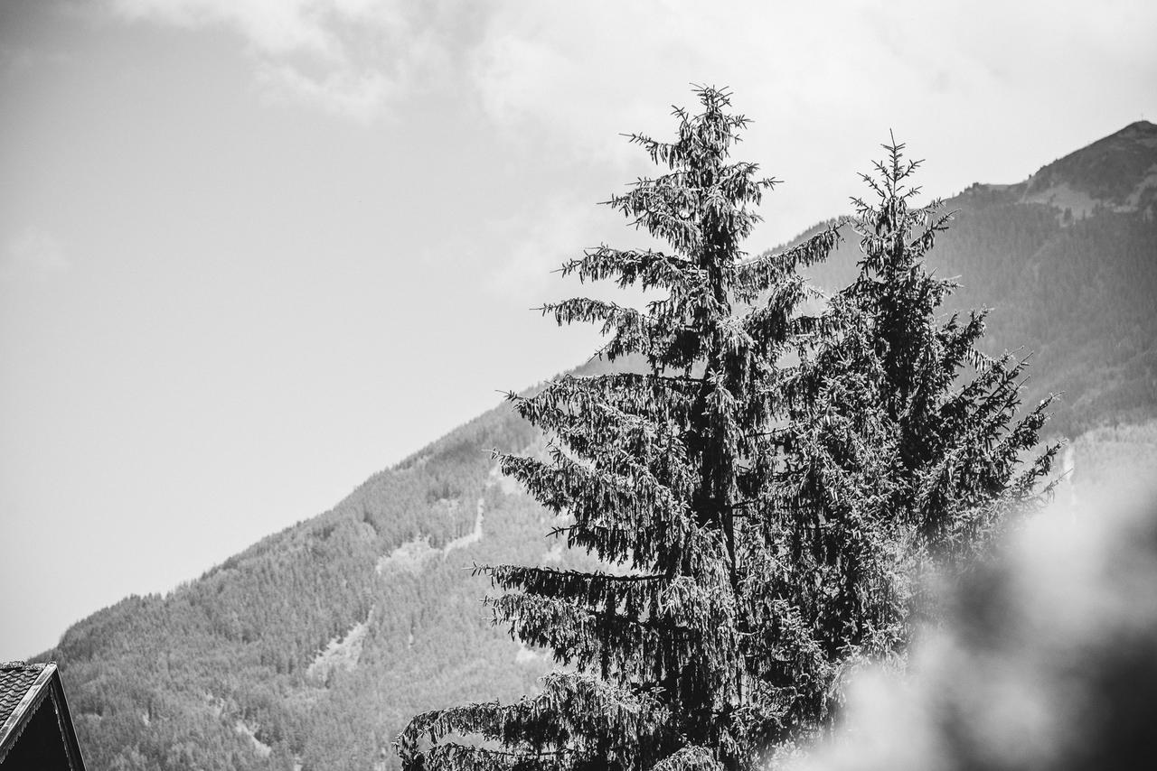 Apart Christine Aschau Im Zillertal エクステリア 写真